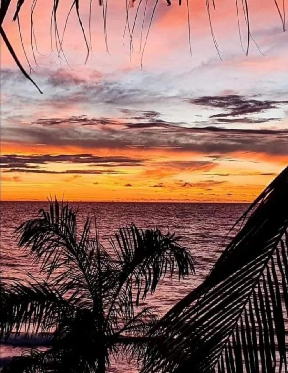 Hostal Corales Tolú 外观 照片